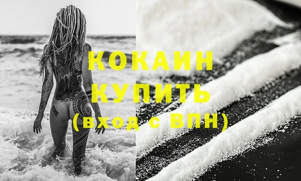 МДПВ Вяземский