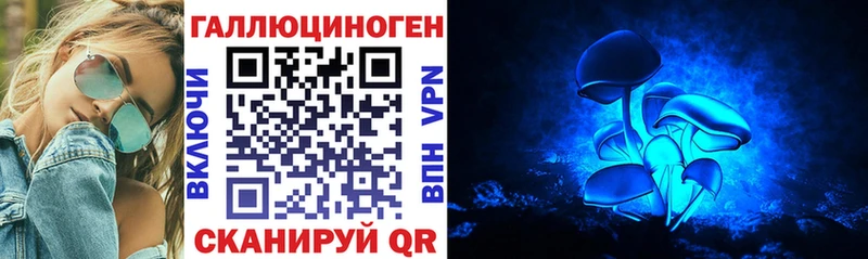 Галлюциногенные грибы Psilocybe  Купить  Тырныауз 